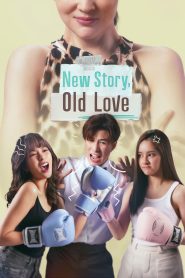 New Story Old Love