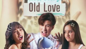 New Story Old Love Episodio 1